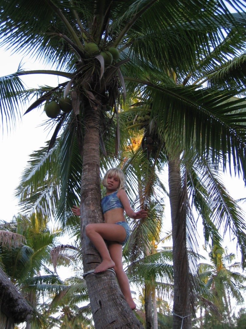 o Coconut picker