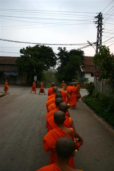Luang Prabang line of monks