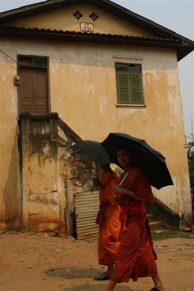 Novice monk with umbrella