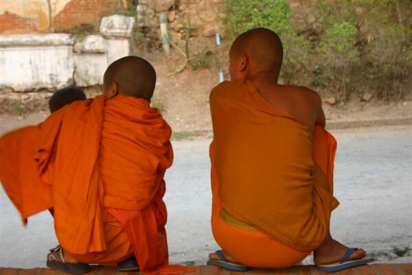 Wat paphai novices